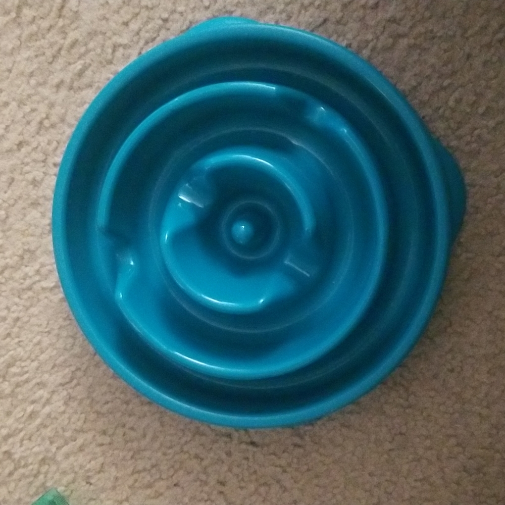 Slow feeder pet food bowl